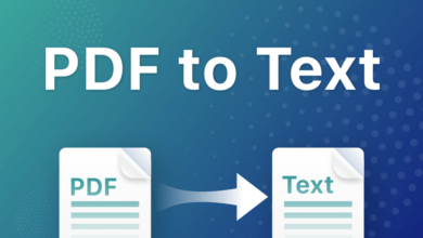 PDF zu Text – Möglichkeiten zur kostenlosen Online-Konvertierung von PDF in Text