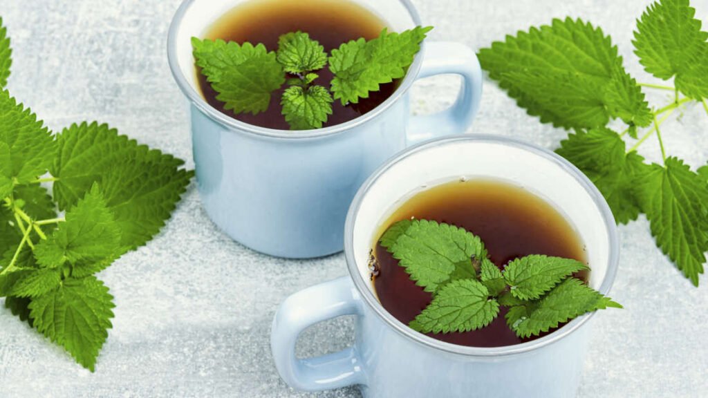 Tee Rückruf Aktuell