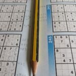 Die Vorteile von Denkspielen und Sudoku-Rätseln Die Vorteile von Denkspielen und Sudoku-Rätseln