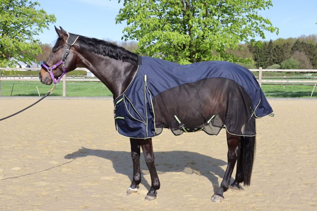 Pferdedecke