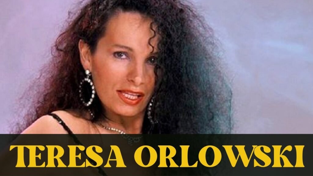 Theresa Orlikowski Wikipedia Forschung Werk und akademische Bedeutung