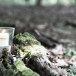 Gina Hanauer Reimershagen Bauernhof Einblicke in nachhaltige Landwirtschaft und regionale Traditionen